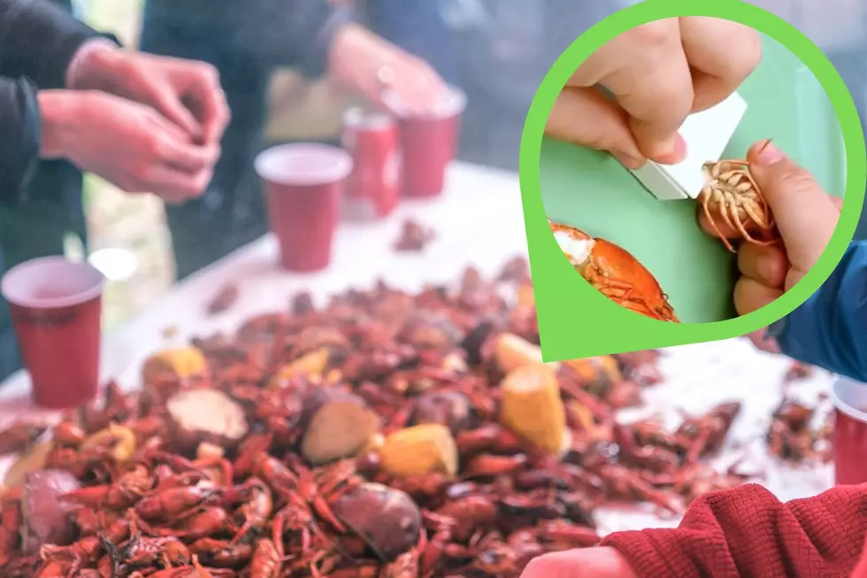 Don't Like Peeling Crawfish? This is a Game Changer, Louisiana