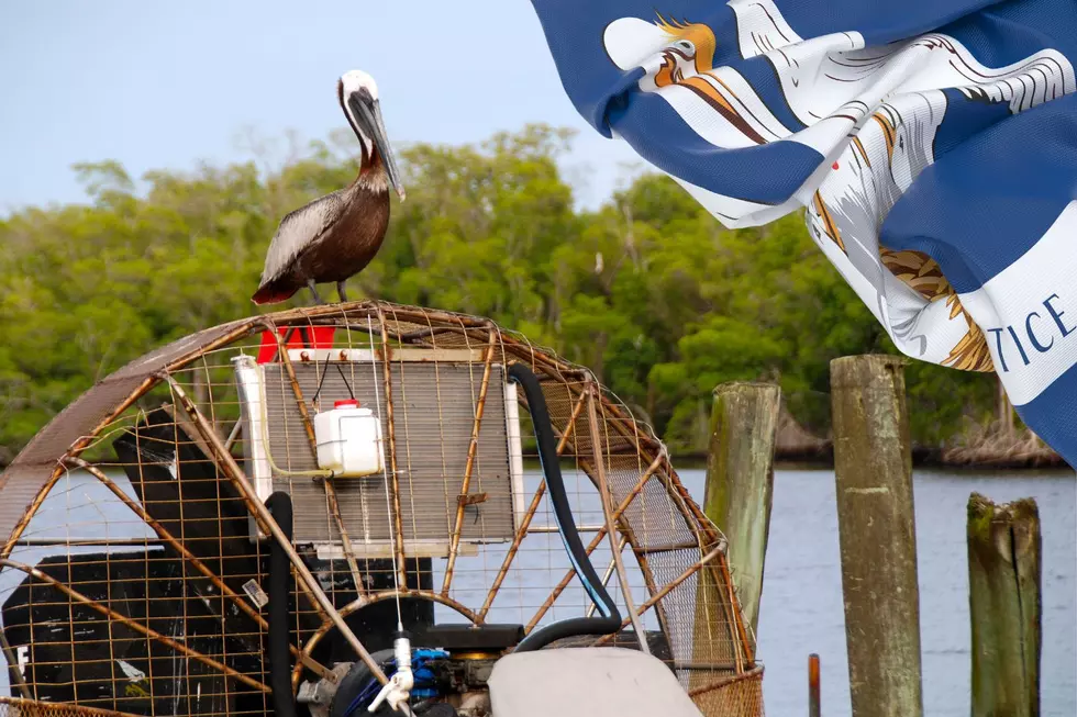 How Many of These Cajun Phrases Do You Know, Louisiana?