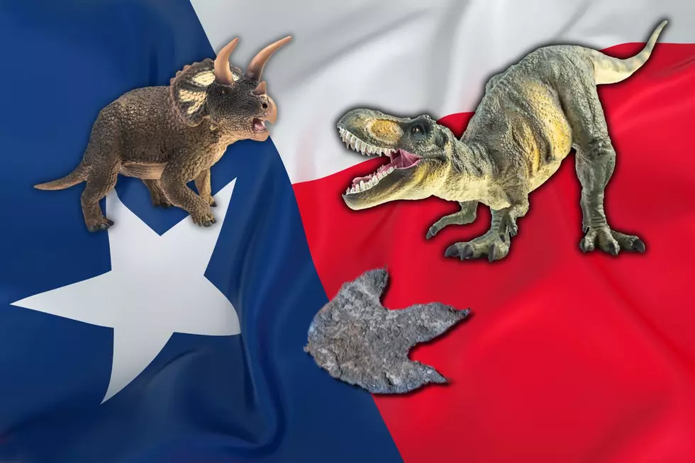 Texas Dinosaur History: See What Species Roamed The State