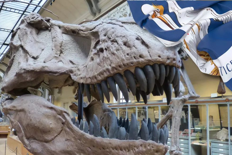 Did You Know That Louisiana Has Some Amazing Museums?