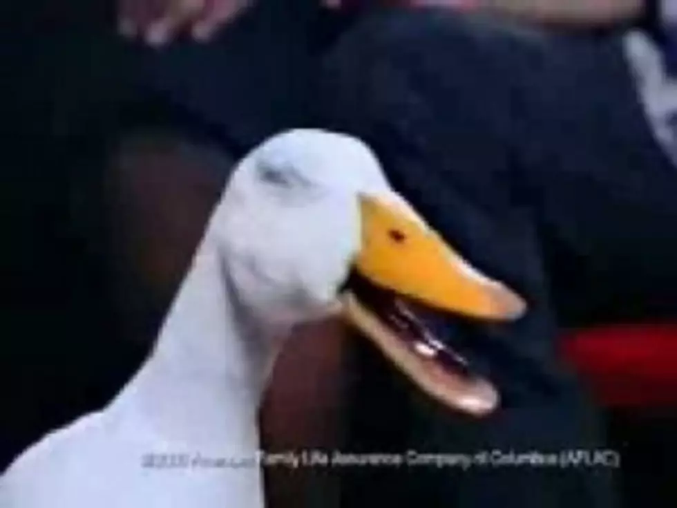 Open Auditions for Aflac Duck: I&#8217;m IN!