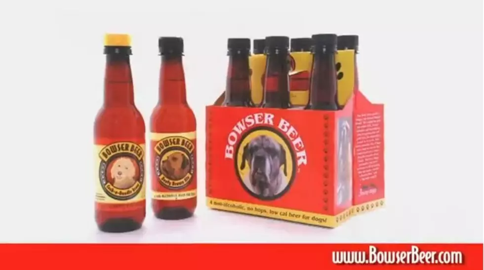 Bowser Beer The World&#8217;s First Beer for Dogs [VIDEO]