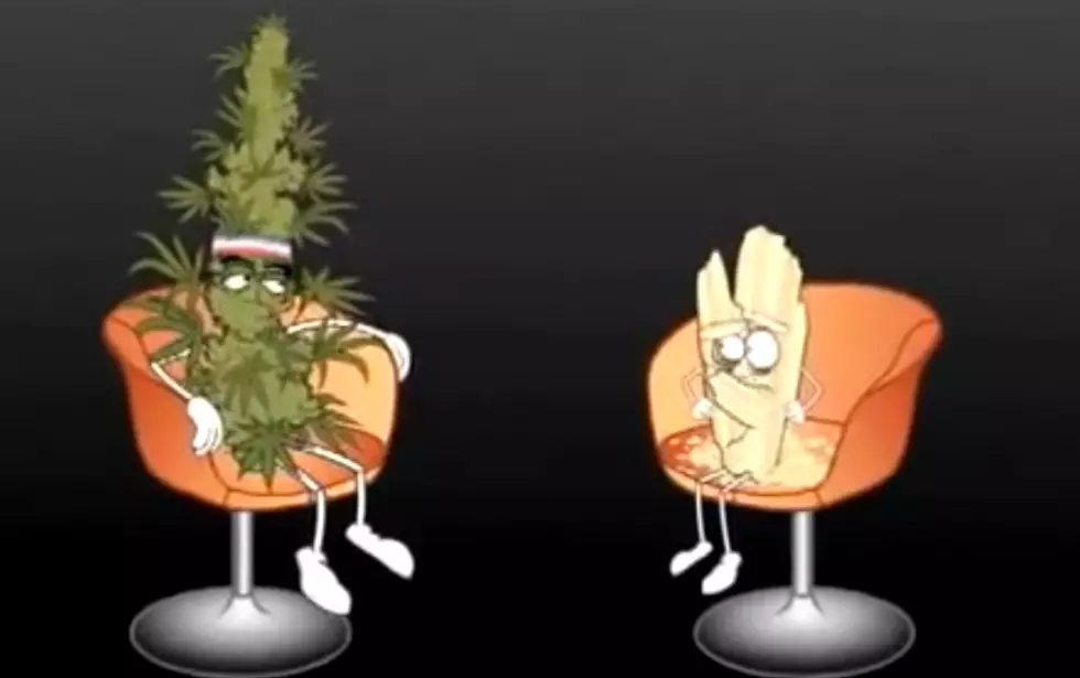 Watch Master Debaters: Marijuana Vs. Crystal Meth [VIDEO]
