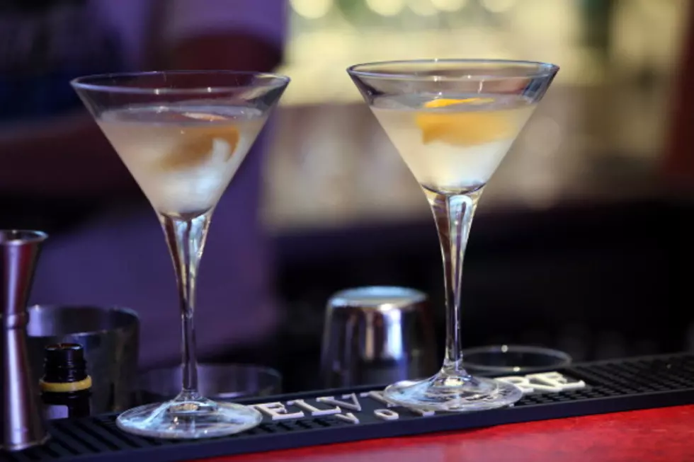 Learn To Make The Perfect Martini This Weekend at the Robinson Film Center!