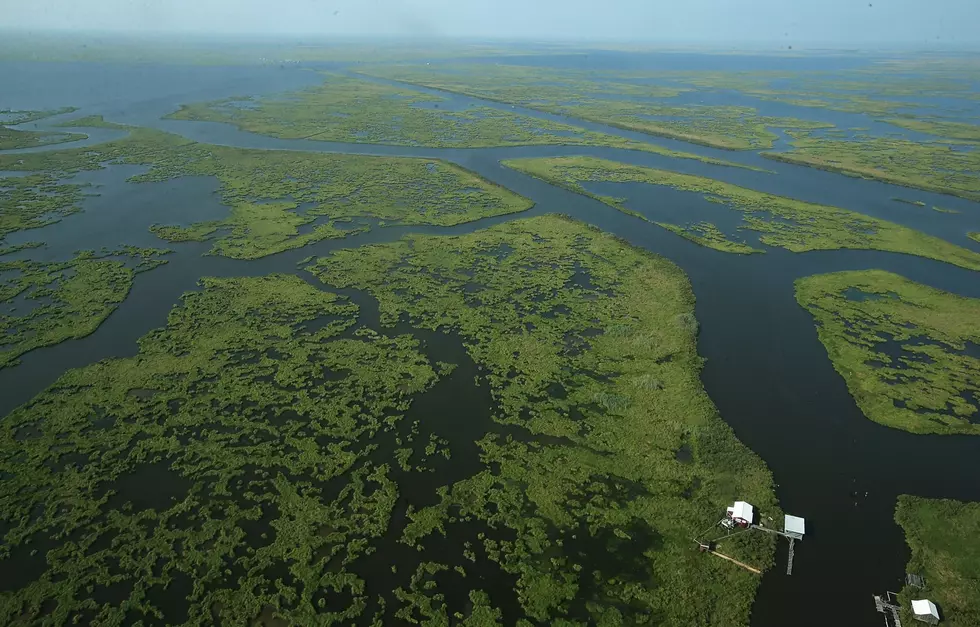 Are Louisiana’s Wetlands Doomed?