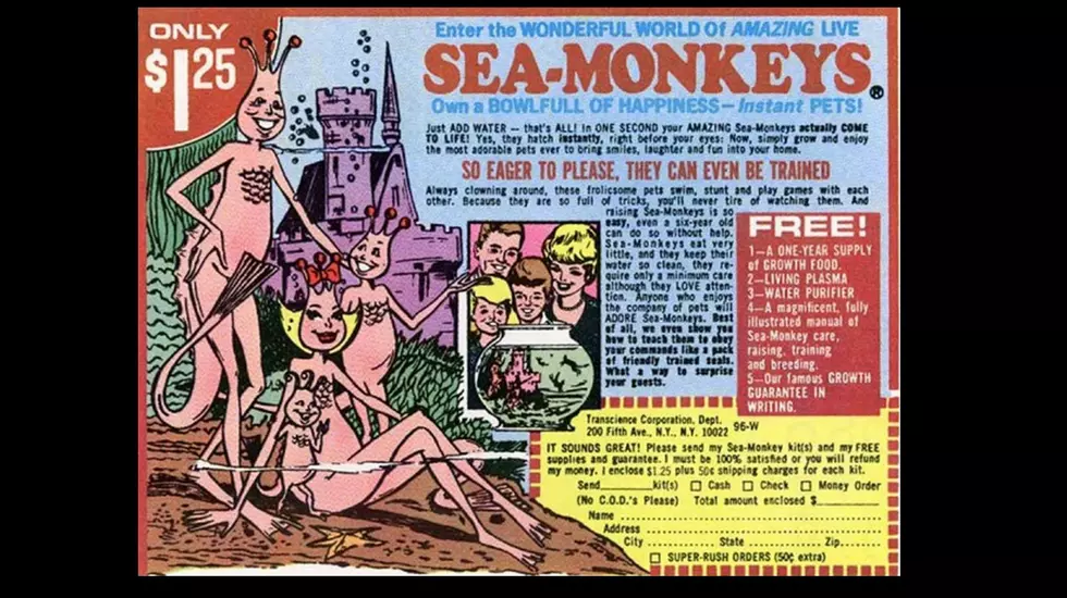 Happy National Sea Monkeys Day!