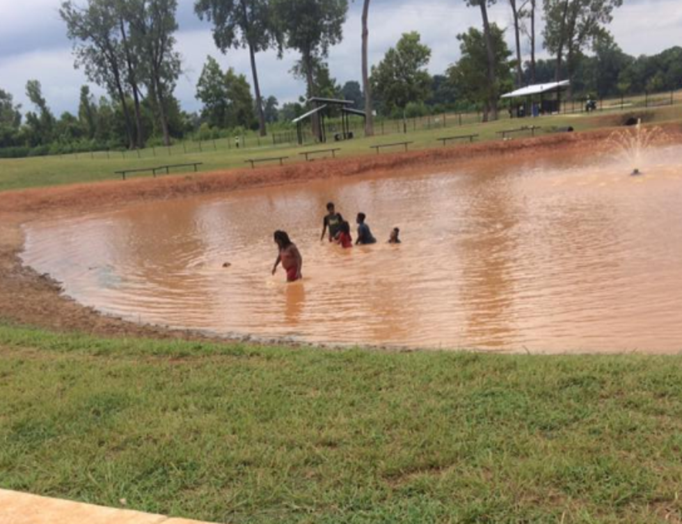 Children Swimming at the Dog Park Pond Removed