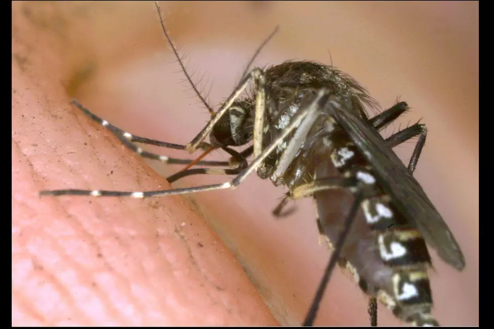 Alexandria Man Dies From West Nile Virus