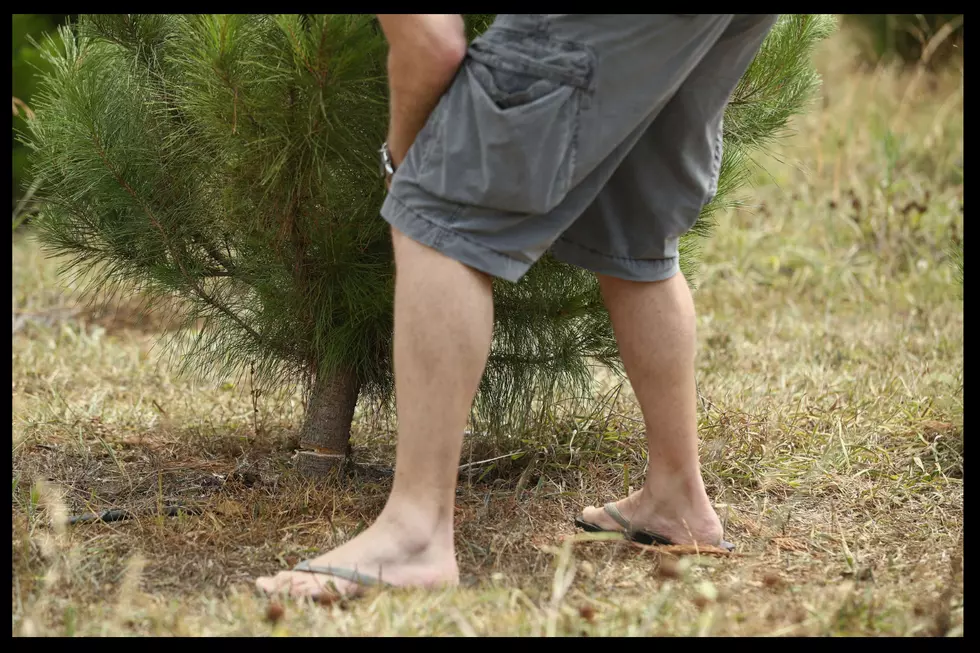 Bored Teenagers Tackle Christmas Trees & Get Arrested