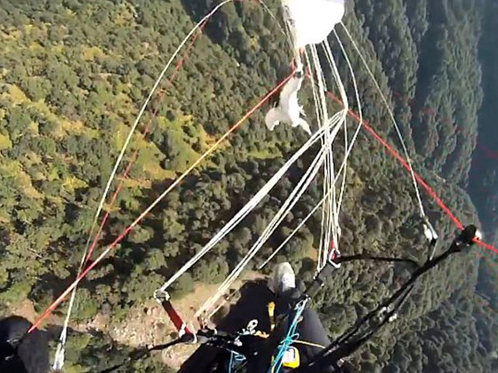 Real Time Footage of Eagle Colliding With Paraglider Is a Must-See [VIDEO]