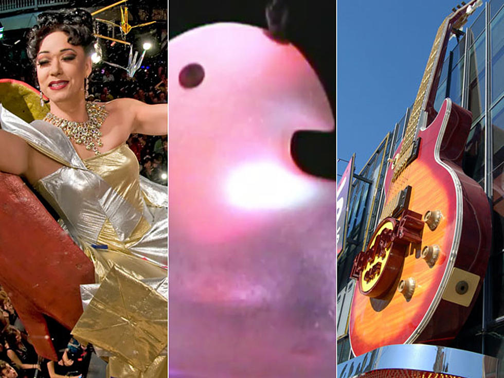 The 10 Weirdest Things to Drop on New Year’s Includes Drag Queens and Possums [PHOTOS, VIDEOS]