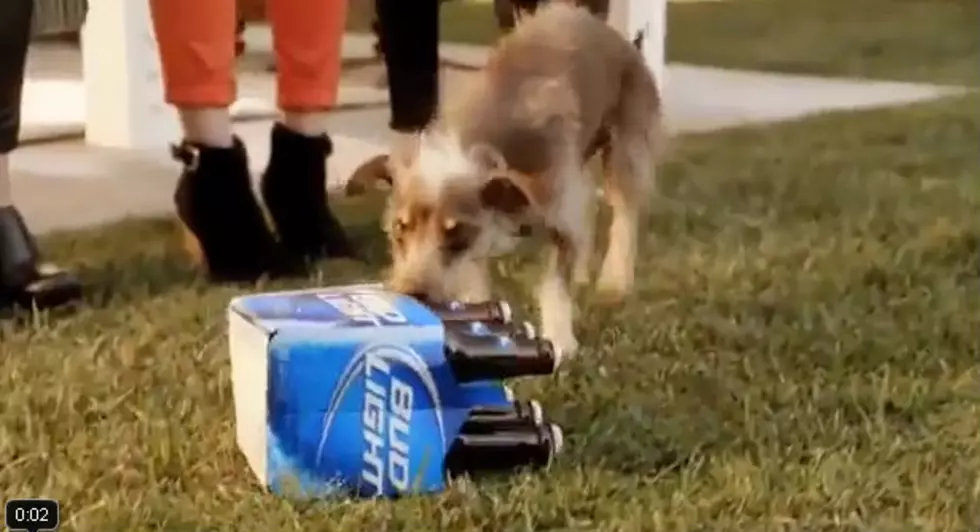 What Were Your Fav Super Bowl Commercials?[Videos]