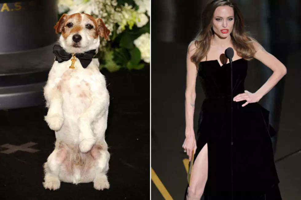 Uggie or Angie for Biggest Oscar Star&#8230;Cast Your Ballot