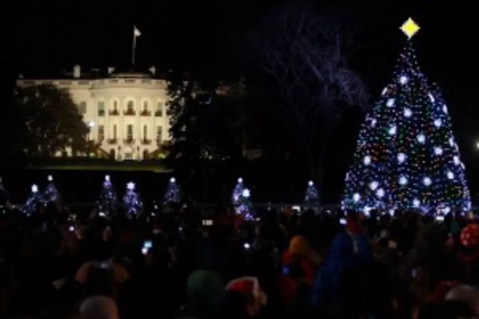 White House Christmas Tree Dies: Bad Omen for Obama?
