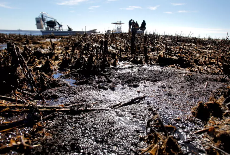 Will There Be Major Environmental Damage from the 2010 Spill? [VIDEO]