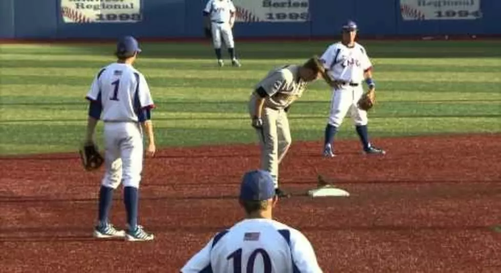 Watch a Squirrel Run the Bases at Kansas-Wichita State Baseball