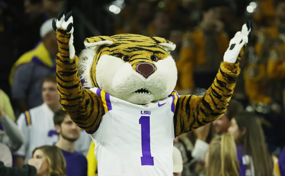 YOU Could be LSU&#8217;s Mike the Tiger Mascot!