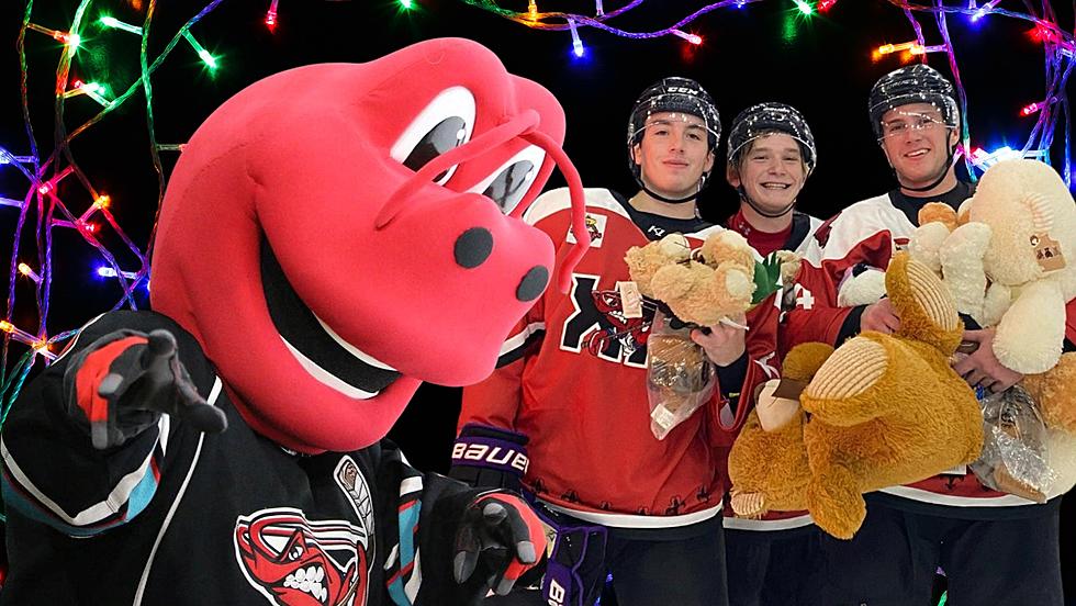 Shreveport Mudbugs Hockey Hosts Teddy Bear Toss On Saturday