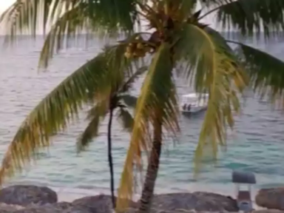 Let the Beaches Luxury Included Vacation Begin! [VIDEO]