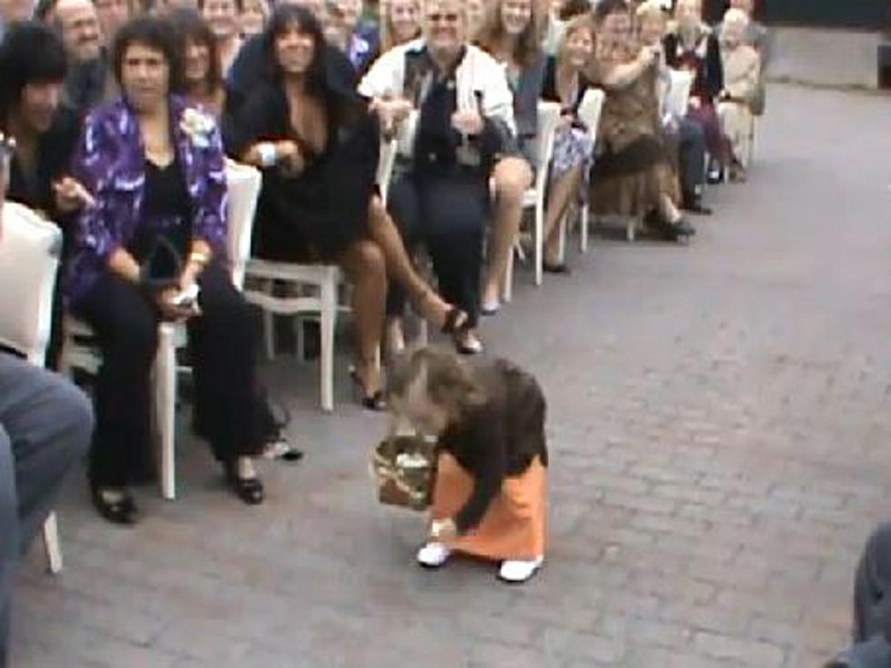 Flower Girl Doesn’t Quite Grasp the Concept of Being a Flower Girl [VIDEO]