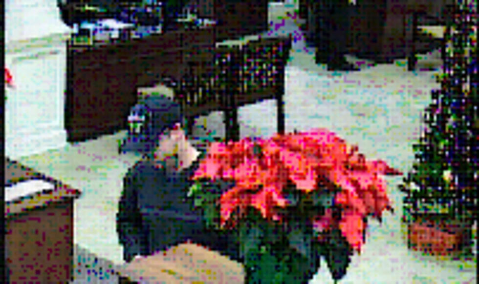 Longview Police Search For Bank Robbery Suspect