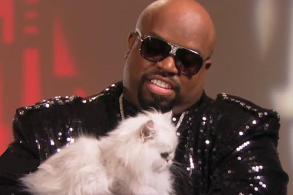 Cee Lo’s Cat Purrfect Has a Twitter Account