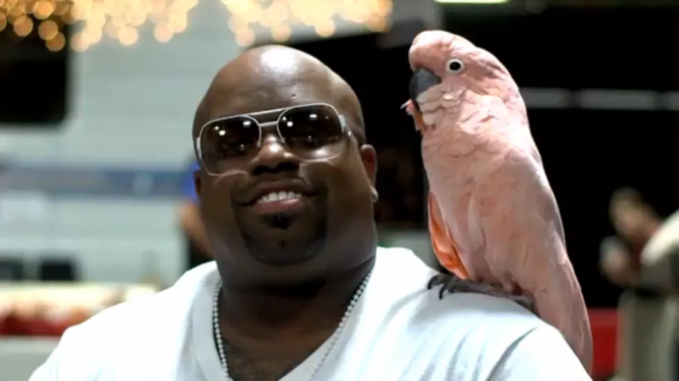 Cee Lo Green Trades in Cat for a Cockatoo [VIDEO]