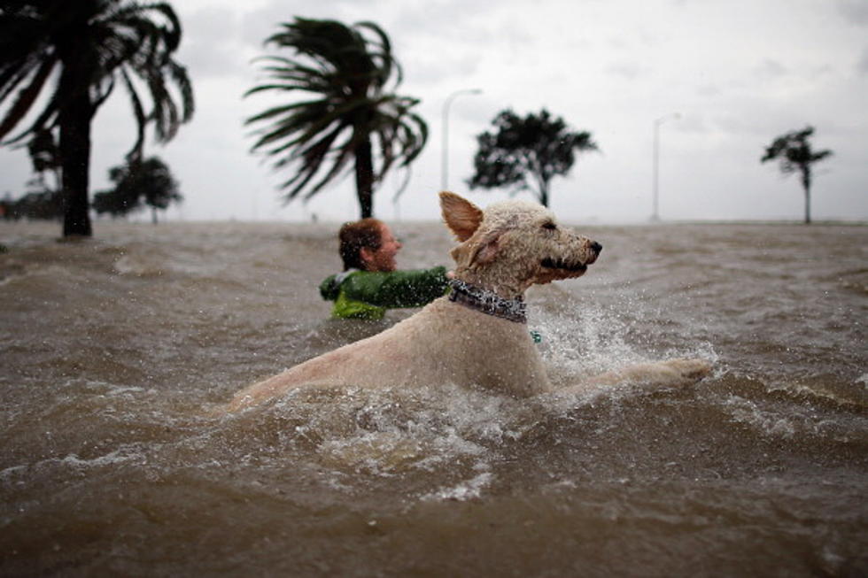 Hurricane Isaac Hits Louisiana, and Louisiana Hits Back