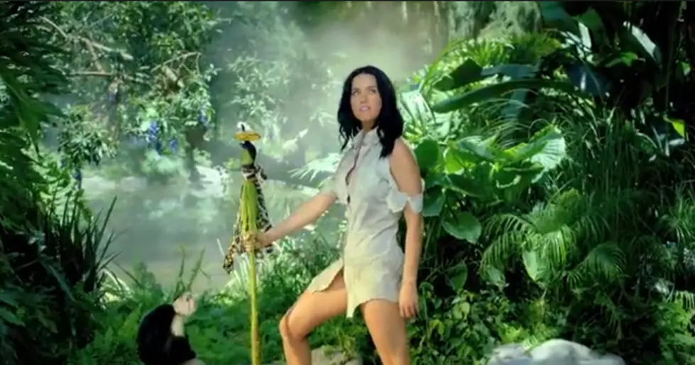 Katy Perry Releases &#8216;ROAR&#8217; Video