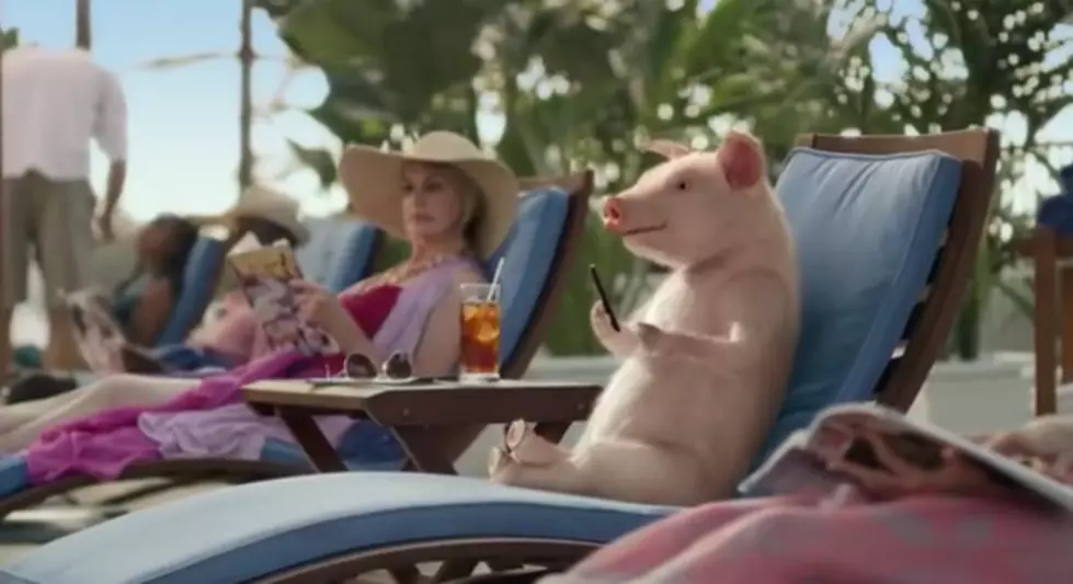 Geico&#8217;s Latest Maxwell Commerical &#8211; Boots and Pants [VIDEO]