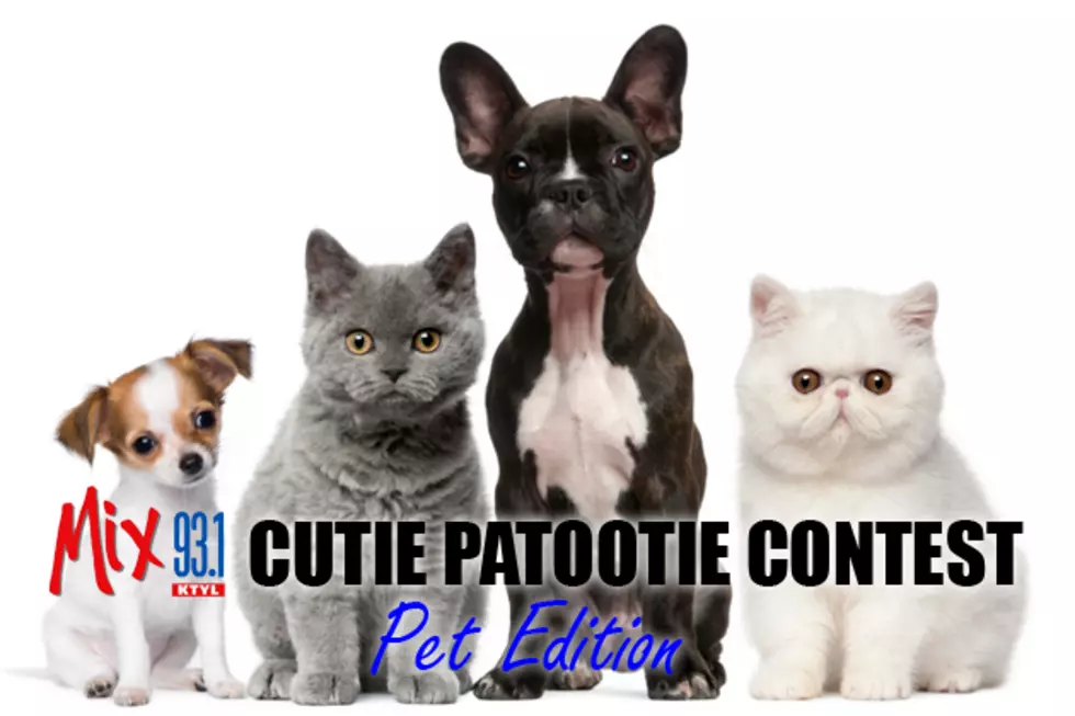 Vote for the Cutest Pet in East Texas in the 2014 Mix 93-1 Cutie Patootie: Pet Edition Contest