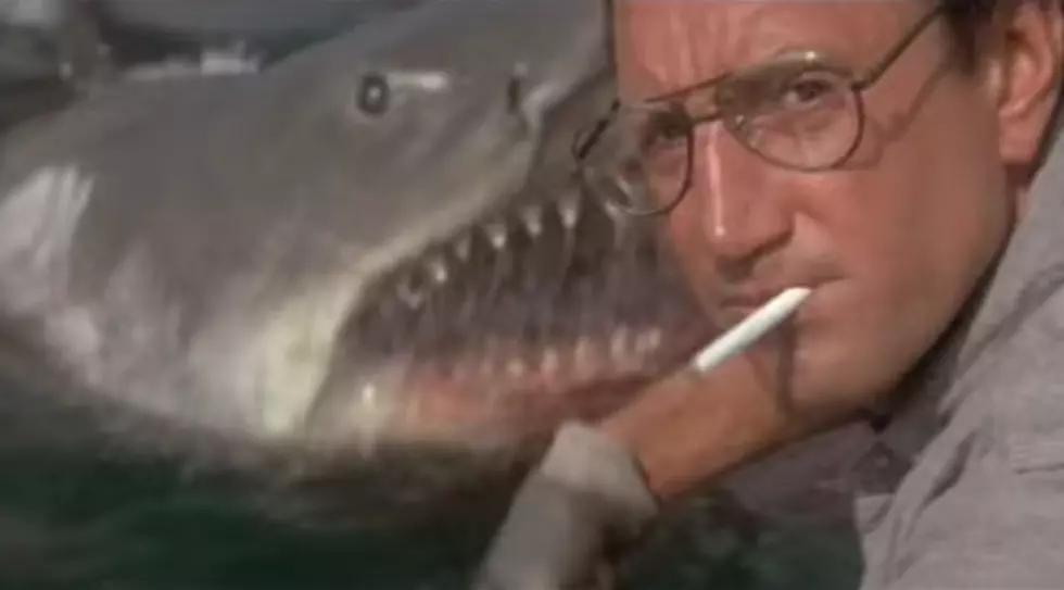 See Jaws Tonight at Liberty Hall [VIDEO]