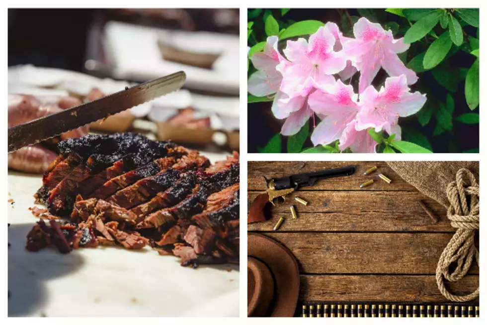 5 Must Attend Spring Festivals + Events In East Texas Featuring Azaleas, Dogwoods, BBQ + More