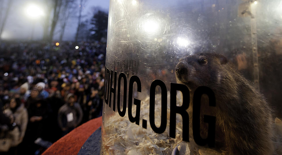 Groundhog Day: Does Punxsutawney Phil See His Shadow?