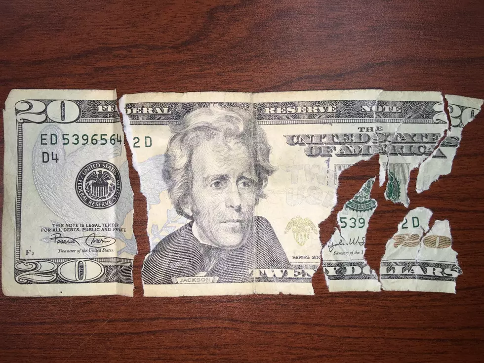 My $20 Bill Was Torn Up By My Dog, Is It Still Worth Anything?