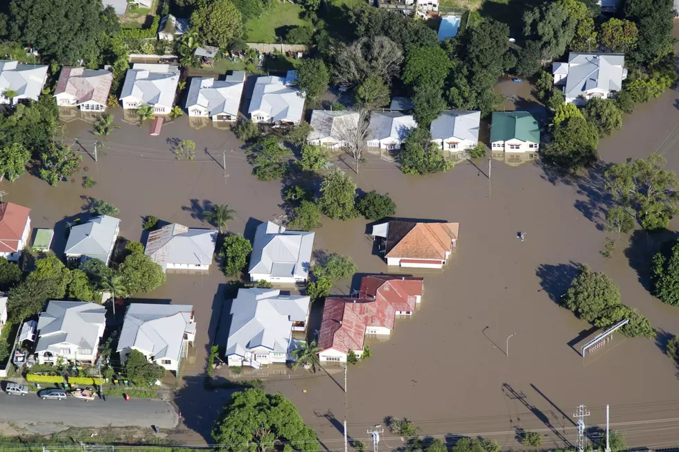 Flood Clean Up Is Costly