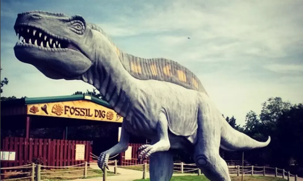 Did You Know You Can Visit Dinosaurs in Texas?