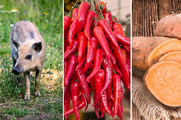 Yams, Hot Peppers + Feral Hogs Will Be Celebrated In East Texas This Weekend