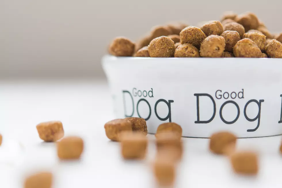 Popular Dog Food Recalled Because it Could Possibly Kill Your Dog