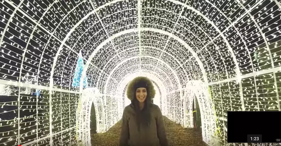 Get Lost in a Maze of Christmas Lights this Holiday Season in Arlington