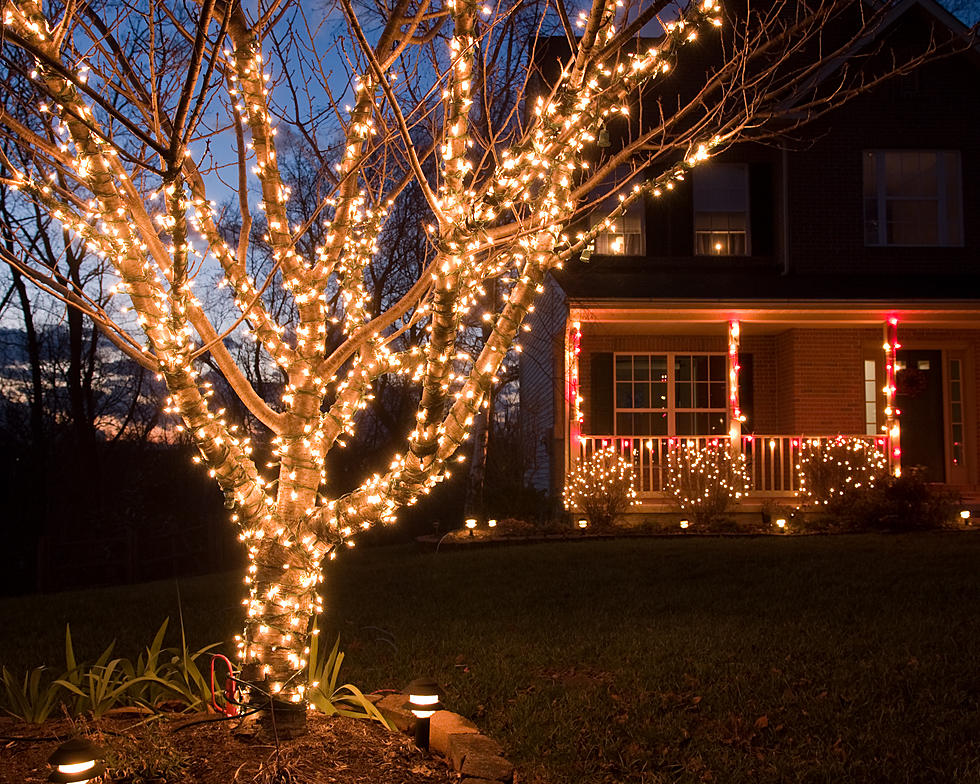 It’s January 25th, Why Are Your Christmas Lights Still Up?