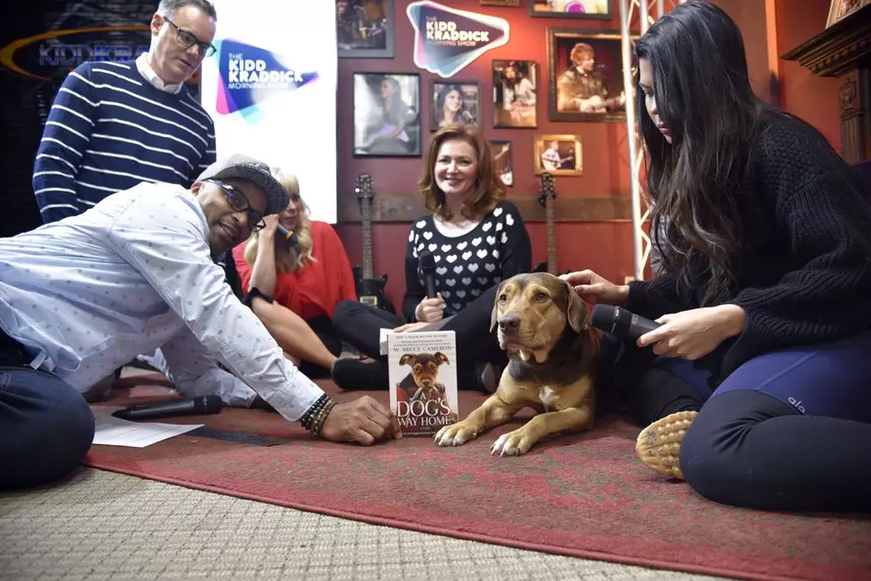 The Kidd Kraddick Morning Show Interviews Creators Of ‘A Dog’s Way Home’