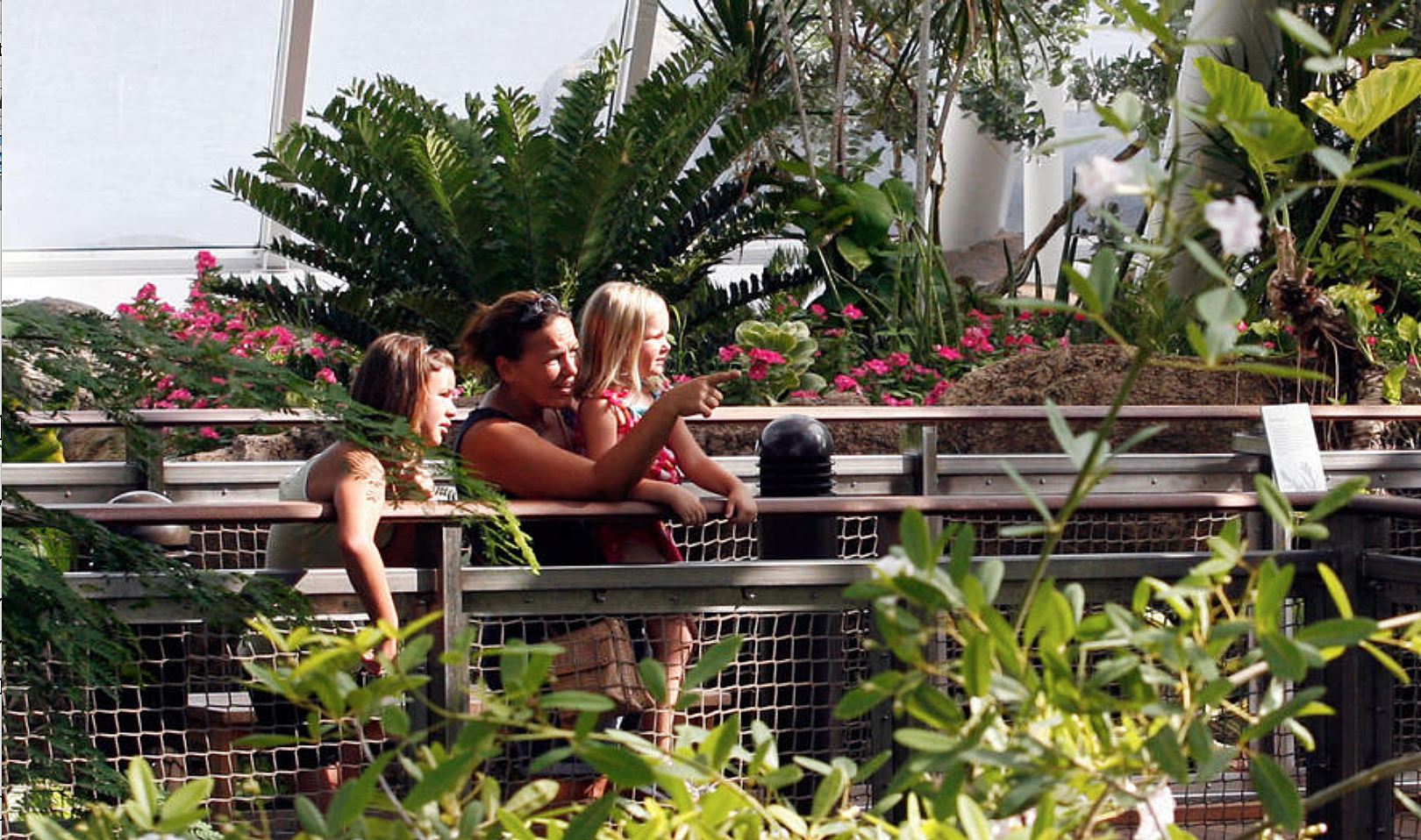 How To Save 50 At Moody Gardens With The Spring Break Value Pass