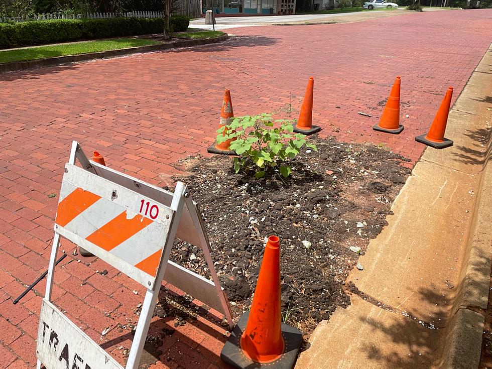 Restoring Tyler&#8217;s Famous Brick Streets To Their Glory Days