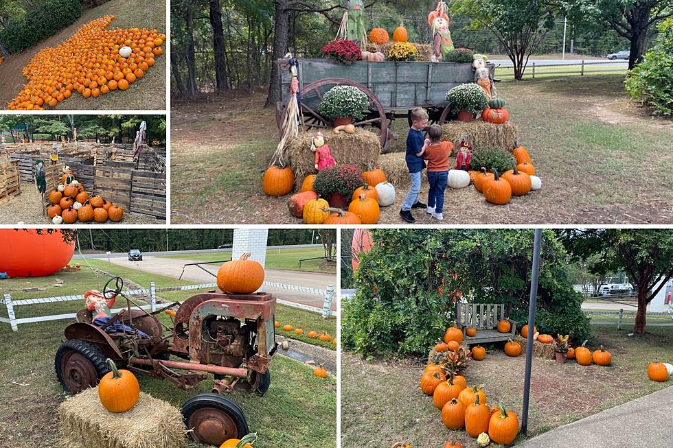 Looking For A Great Fall Picture Location, Try Ellis Pottery In Longview