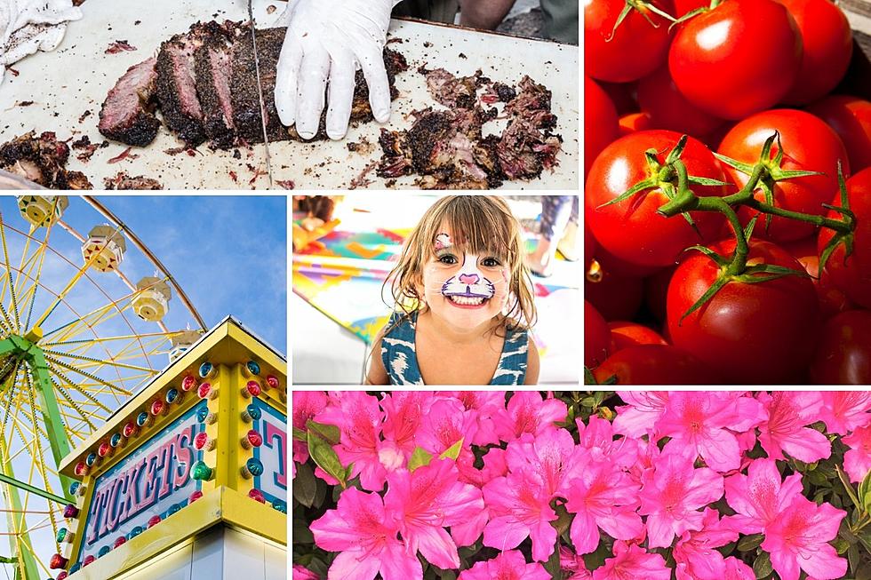 The Ultimate Guide To Exciting East Texas Spring Festivals