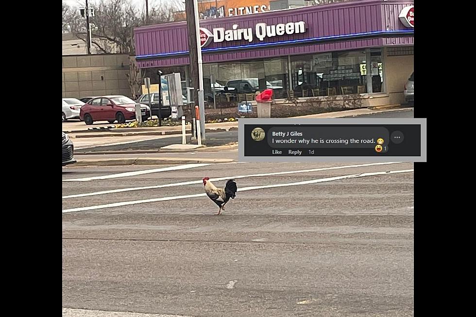 Why Did The Chicken Cross Loop 323 And Paluxy In Tyler, Texas?