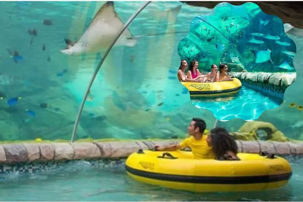 Water Slide And Stingrays. What A Combination In San Antonio.