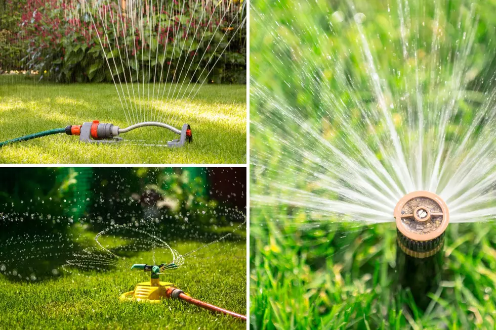 Don’t Get Caught Watering Outdoors On The Wrong Day In Bullard, Texas