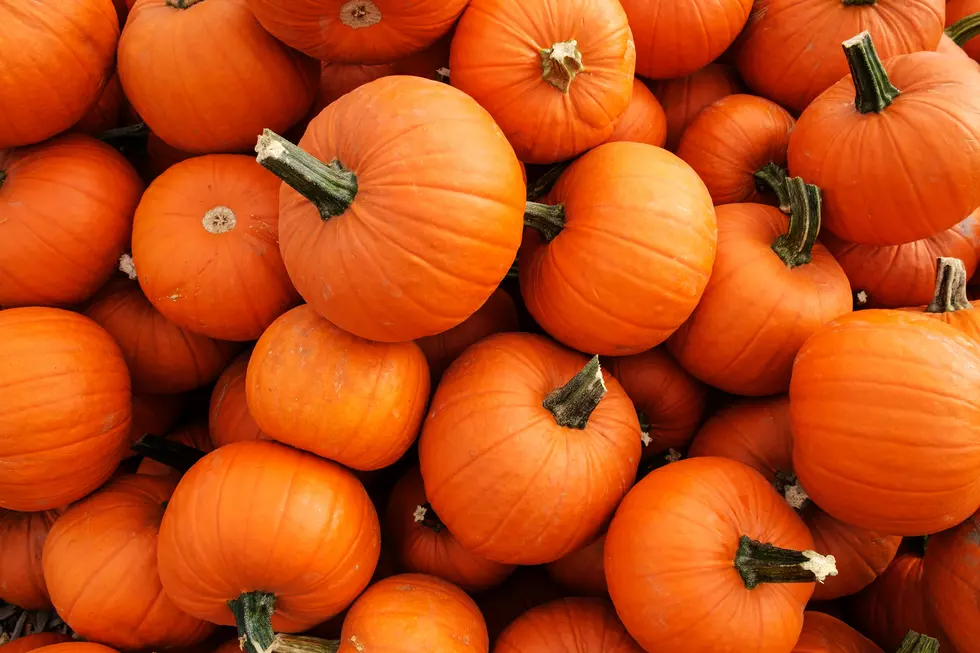 Expect To See Fewer Pumpkin Patches In East Texas Thanks To The Drought